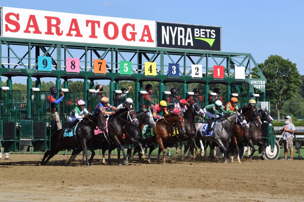 A group of horses on a dirt track.