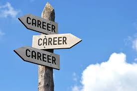 A wooden sign with the words career and career pointing in different directions.